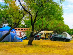 campsite trstenica camp image